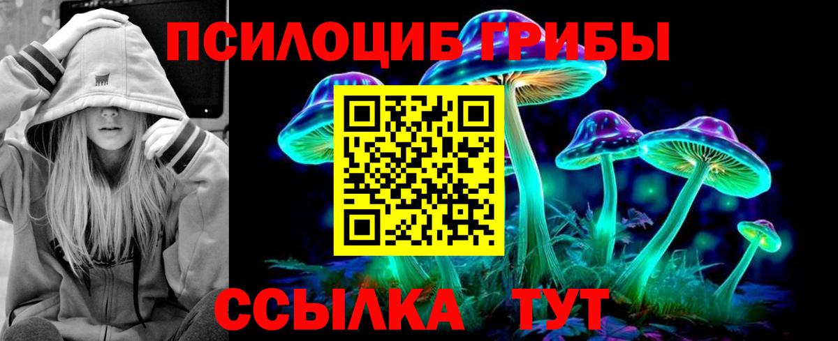 Губкин  Псилоцибиновые грибы Psilocybe  сколько стоит  Вход с VPN 